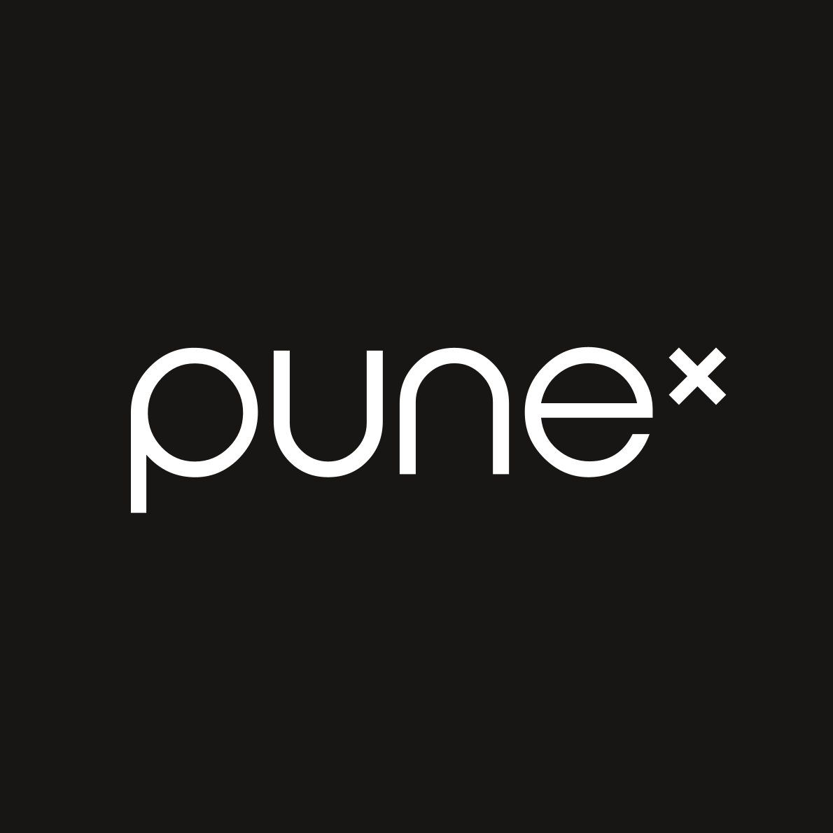 Das Logo von pune